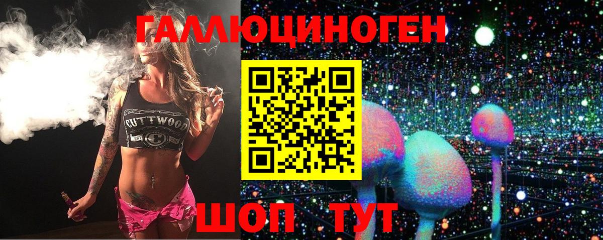 Галлюциногенные грибы Psilocybine cubensis Ипатово