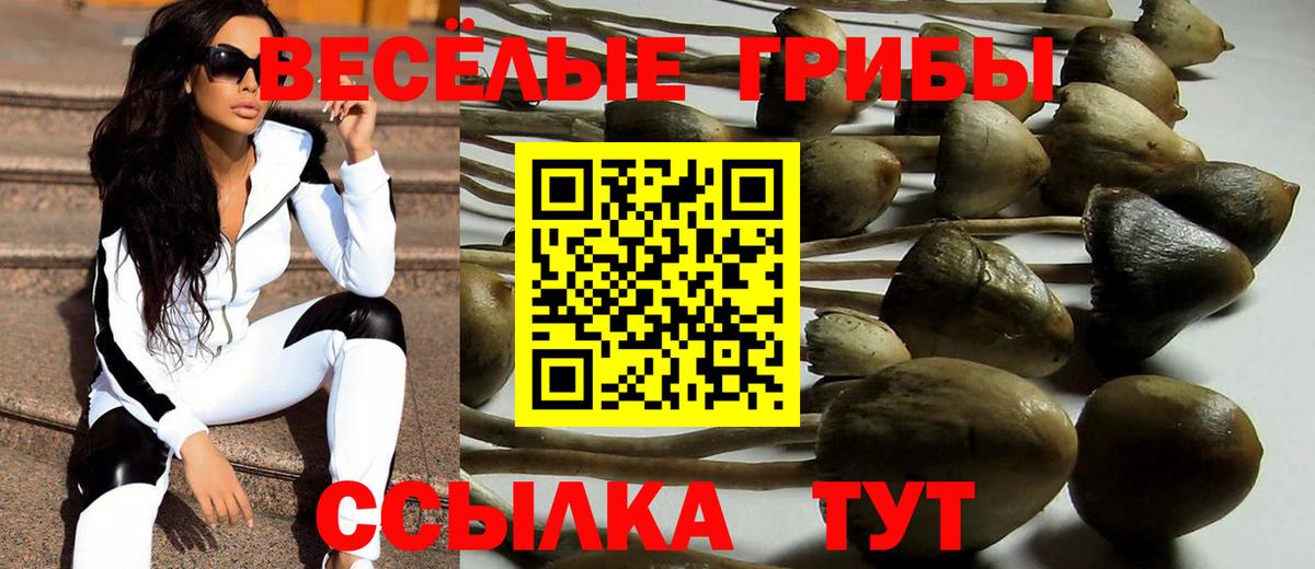 Ипатово  Галлюциногенные грибы прущие грибы  Псилоцибиновые грибы Cubensis  что такое   Вход с VPN 